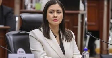 Blanca Cruz es consejera presidenta provisional del INE
